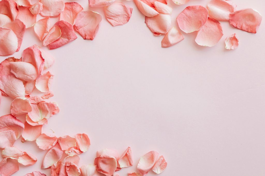 Festive romantic background with delicate round frame made of beautiful pink rose petals